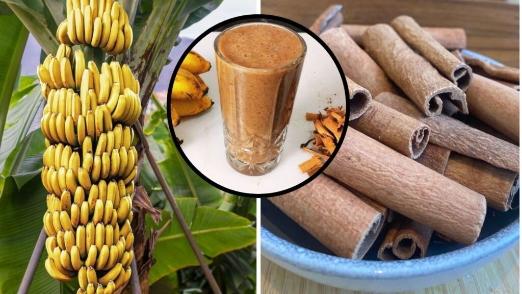 "Detox de Banana e Canela: Elimine Gordura, Desinche e Regule Seu Corpo!"