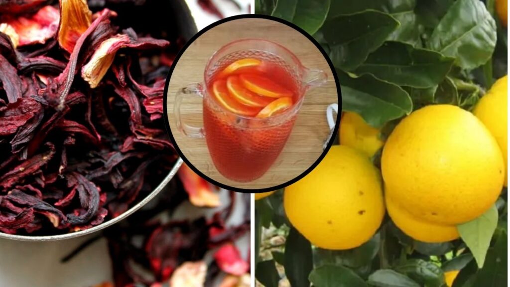 Detox de Hibisco e Laranja: Desinche, Elimine Gordura e Regule Seu Corpo!