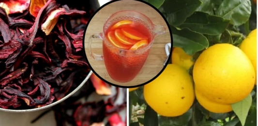 Detox de Hibisco e Laranja: Desinche, Elimine Gordura e Regule Seu Corpo!