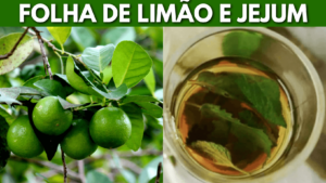 Detox com Folha de Limão: Um Caminho Natural para a Saúde