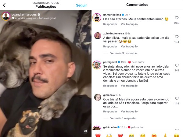 André Marques Desabafa e Comove com Homenagem Emocionante após Perda de Pet Querida
