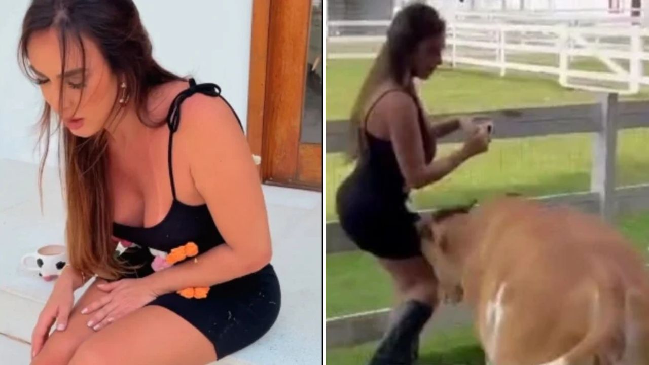 Nicole Bahls é Atacada por Vaca e Mostra Hematomas: "Estou Apavorada!"