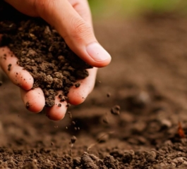 Agro Solo: O Papel do Solo na Agricultura Sustentável