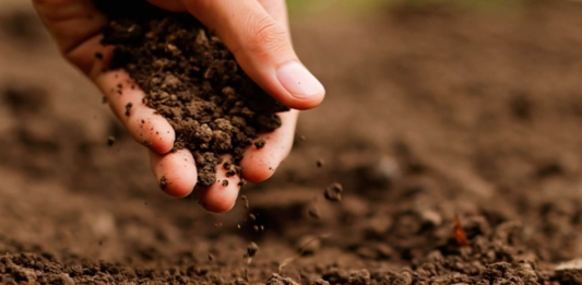 Agro Solo: O Papel do Solo na Agricultura Sustentável