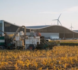 Agronegócios: O Motor da Economia Brasileira e os Novos Caminhos do Setor
