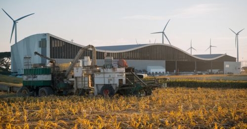 Agronegócios: O Motor da Economia Brasileira e os Novos Caminhos do Setor