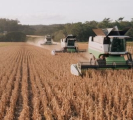 Agronegócio no Brasil: Desafios e Oportunidades para um Futuro Sustentável