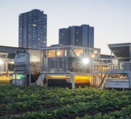 Agronegócios: O Setor que Impulsiona o Brasil e Ganha Força com Inovação