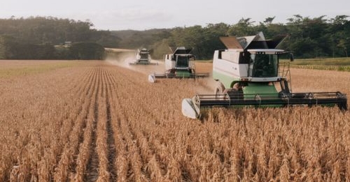 Agronegócio no Brasil: Desafios e Oportunidades para um Futuro Sustentável